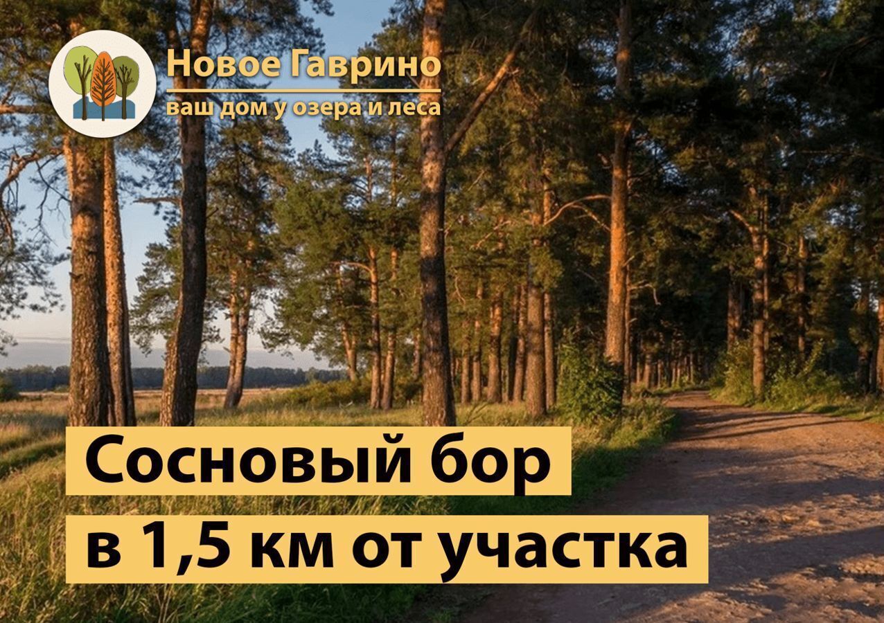 дом городской округ Павловский Посад д Гаврино ул Центральная 52 км, коттеджный пос. Новое Гаврино, Большие Дворы, Горьковское шоссе фото 26