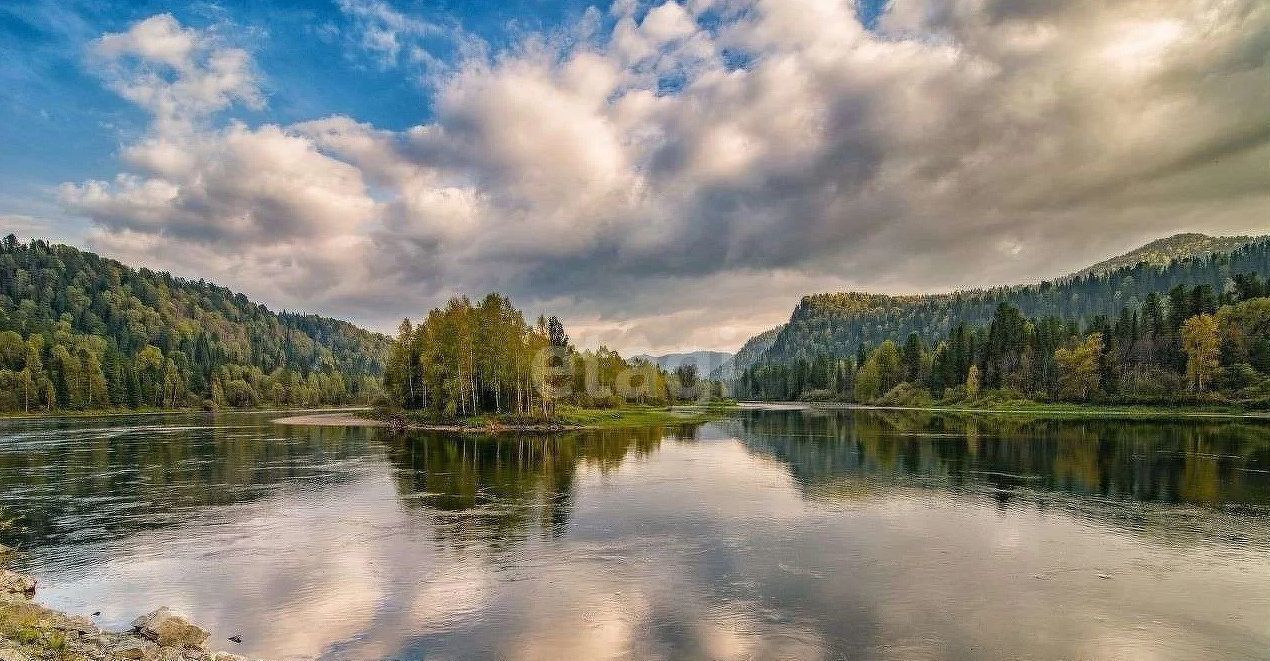 дом р-н Турочакский с Усть-Лебедь ул Речная Турочак фото 8