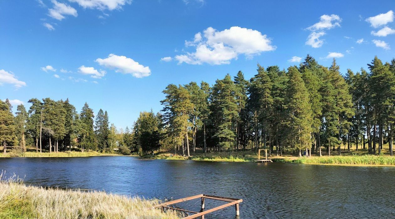 земля городской округ Одинцовский д Щедрино ул Северная Кокошкино фото 8