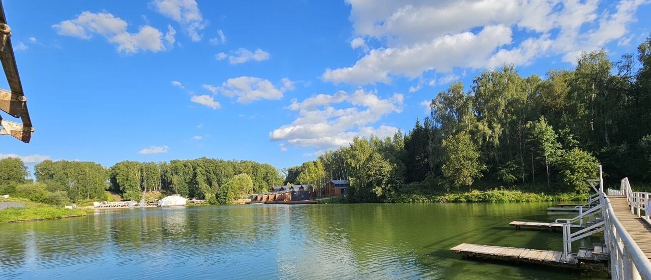 дом городской округ Ленинский д Дальние Прудищи фото 6