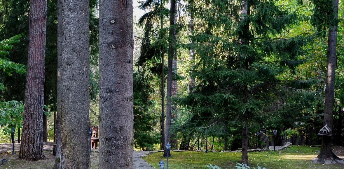 земля городской округ Одинцовский д Таганьково Николино кп, Одинцово фото 6