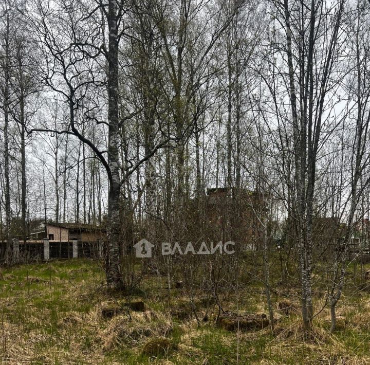 земля р-н Всеволожский Рахьинское городское поселение, пос. При железнодорожной станции Ладожское Озеро, 2А фото 3