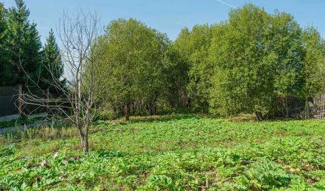 п подсобного хозяйства Минзаг ТиНАО Краснопахорский район фото