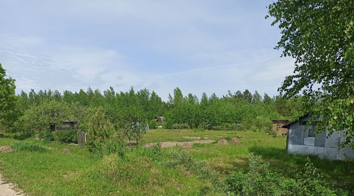 земля р-н Новгородский снт Экран Панковское городское поселение, № 3 садоводческий массив фото 7