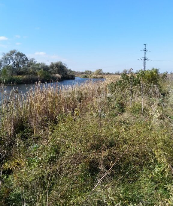 земля р-н Азовский х Городище Елизаветинское сельское поселение фото 3