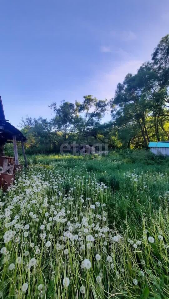 земля р-н Мокшанский д Заречная Заречный, Пенза фото 8