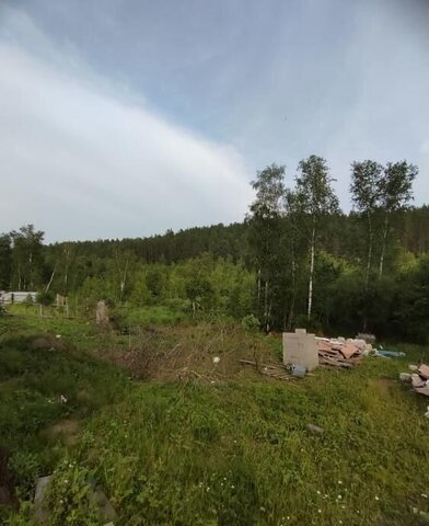 днп Защитник пер Еловый Марковское муниципальное образование фото