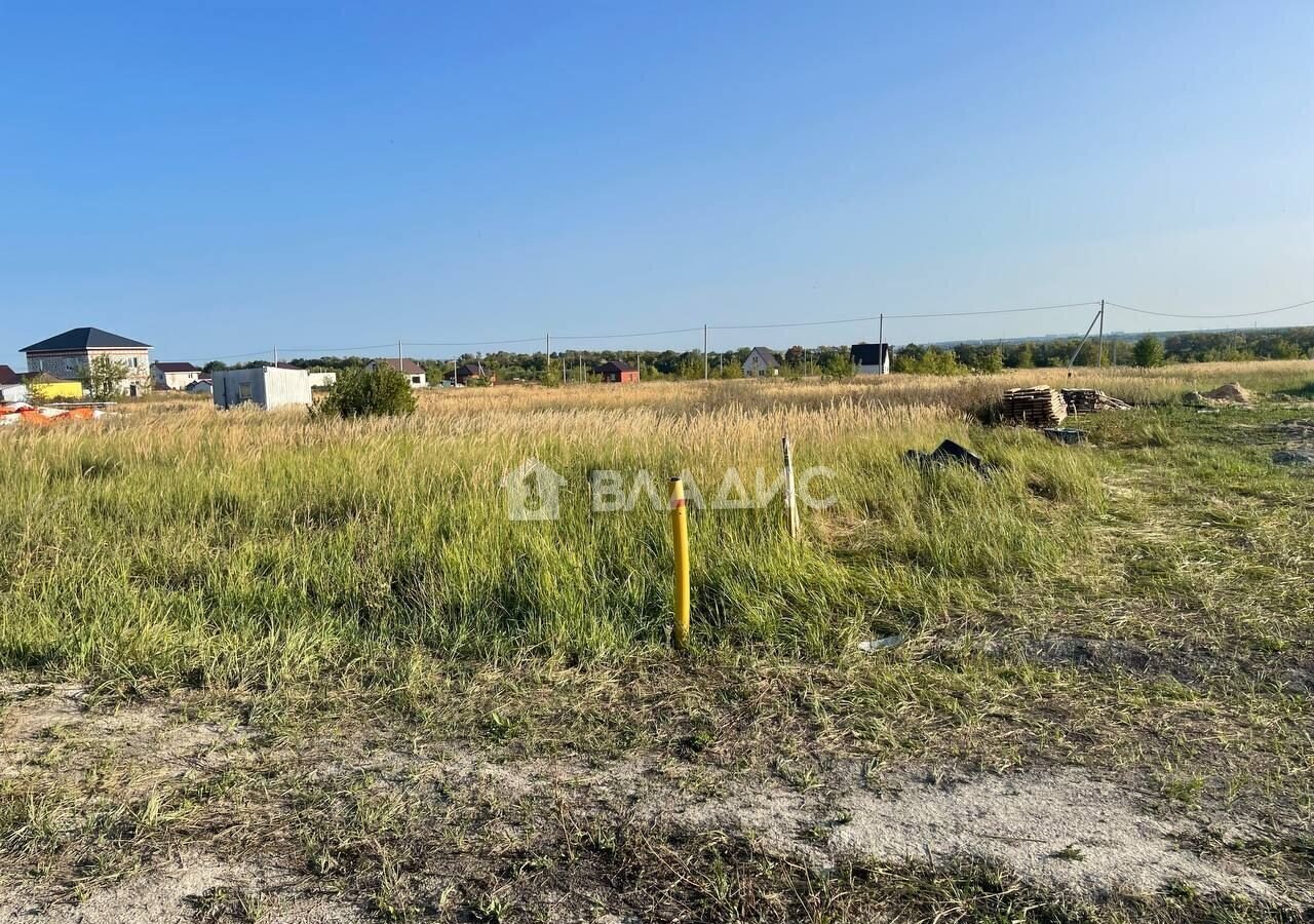 земля р-н Бессоновский с Бессоновка ул Славы фото 3