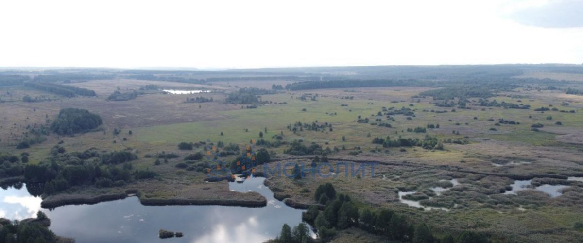 земля р-н Богородский д Кубаево ул Калинина фото 4