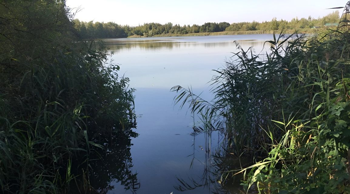 земля городской округ Богородский п Воровского снт Светлячок ул Северная Железнодорожная фото 2