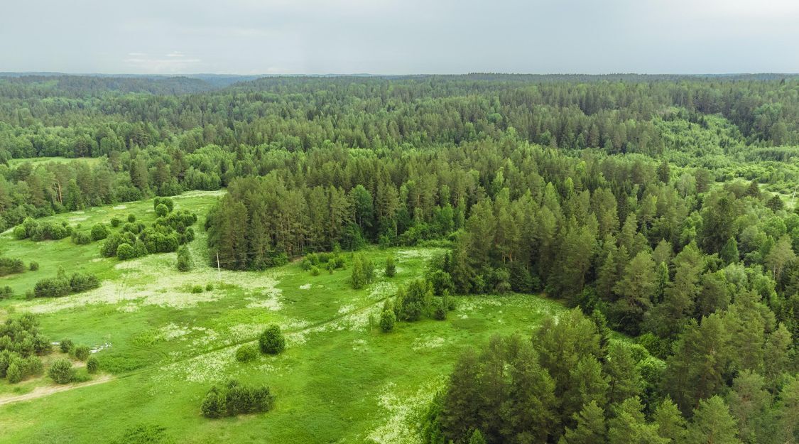 земля р-н Лахденпохский п Отсанлахти Куркиекское с/пос фото 7