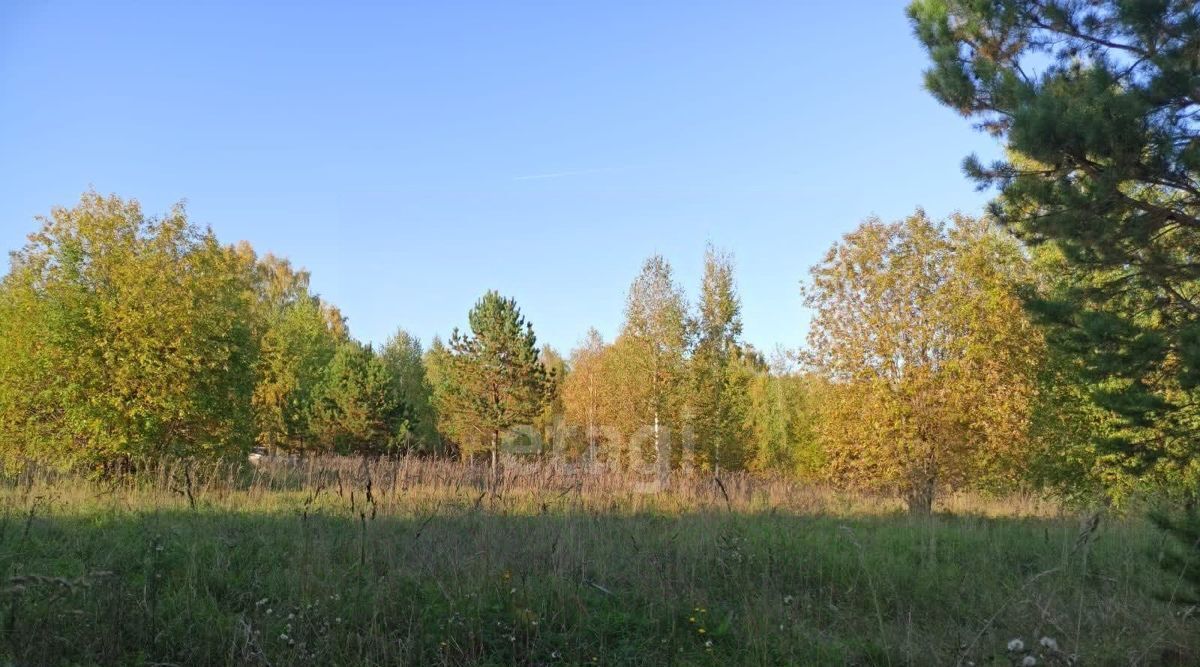 земля р-н Кемеровский снт Ветеран Березовский городской округ фото 16