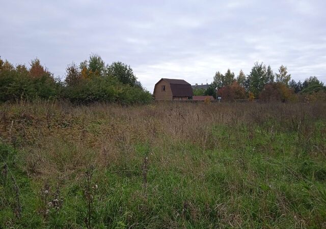 д Береговые Морины Ракомское сельское поселение, Великий Новгород фото