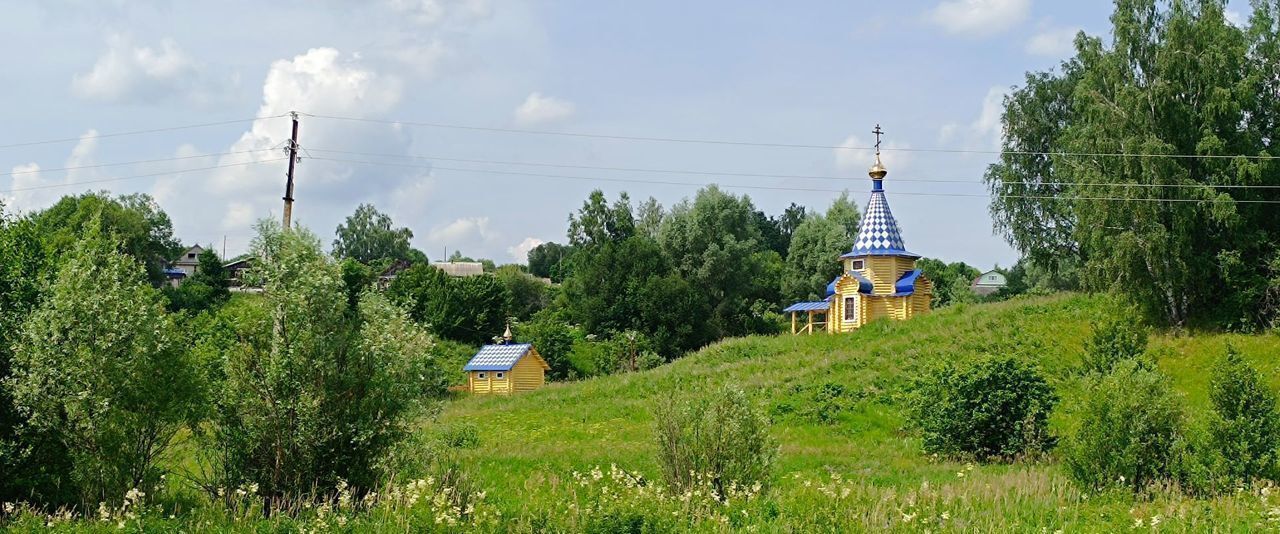 дом р-н Вадский с Борисово Поле фото 10