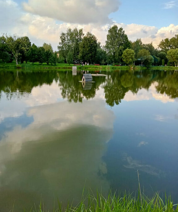 дом г Москва п Роговское снт Лесной Городок, Лесной Городок, улица Солмановское Поле, Московская область фото 21