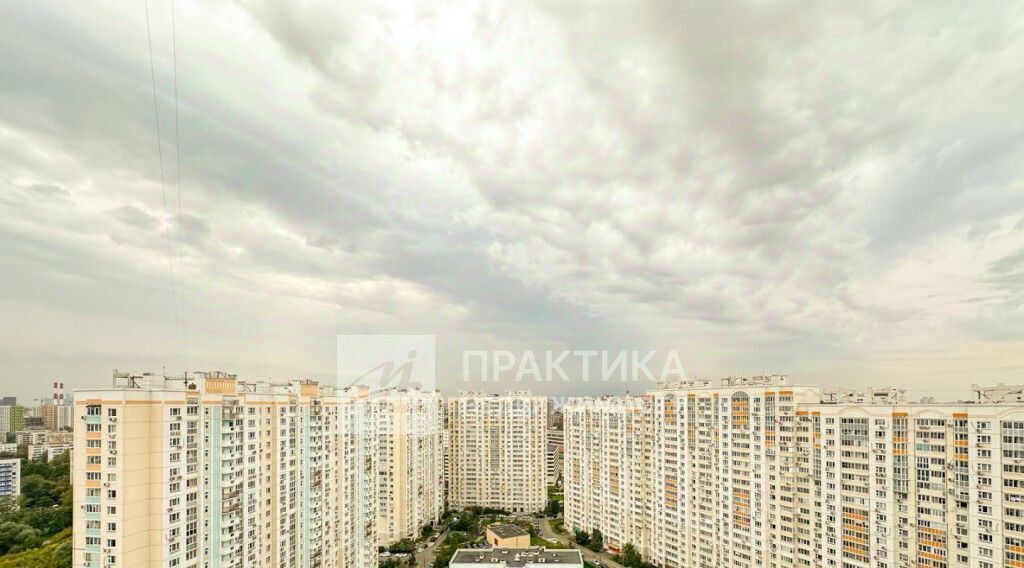 квартира г Москва метро Текстильщики ул Саратовская 22 фото 27