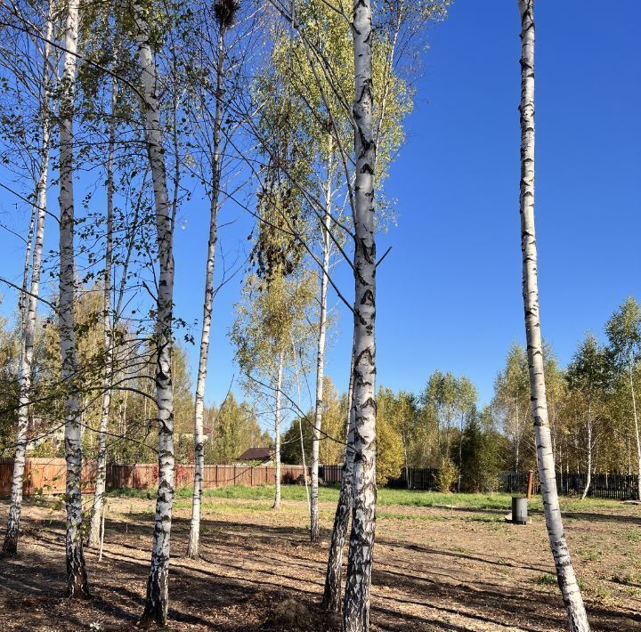 земля городской округ Ступино д Проскурниково фото 1