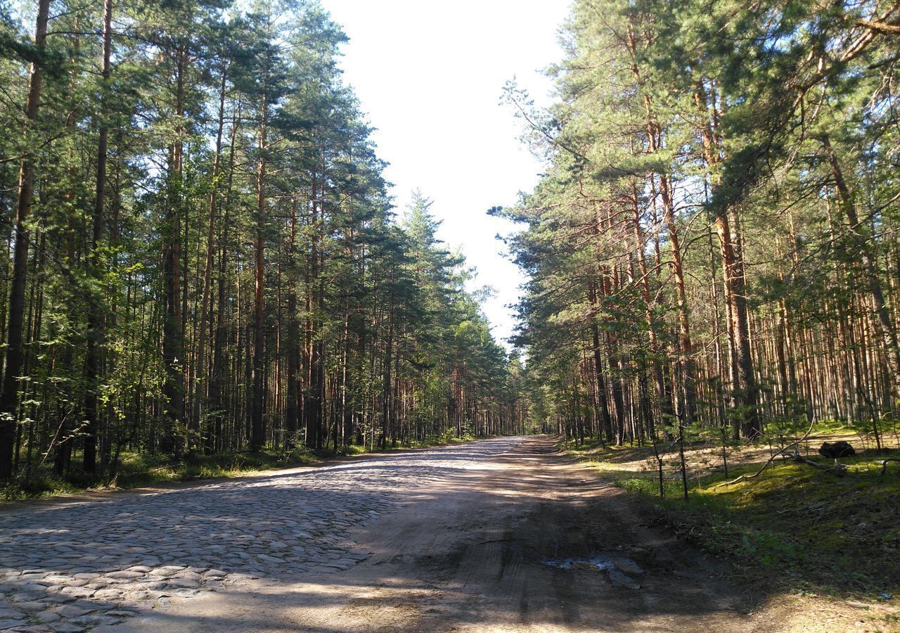 дом р-н Ломоносовский п Лебяжье ул Ломакина 14 Лебяженское городское поселение, городской пос. Лебяжье фото 20