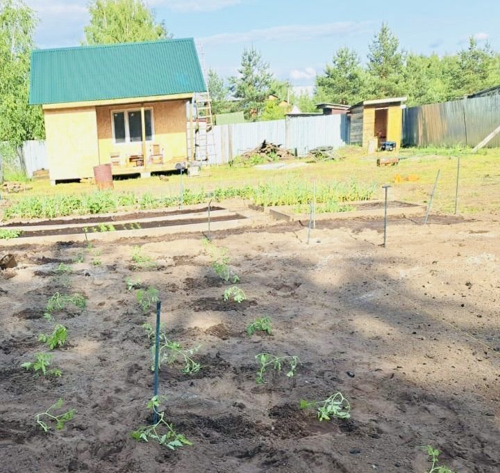 дом городской округ Орехово-Зуевский Три Сестры садовое товарищество фото 19