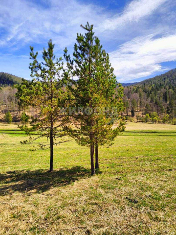 земля с Новоалександровка ул Центральная фото