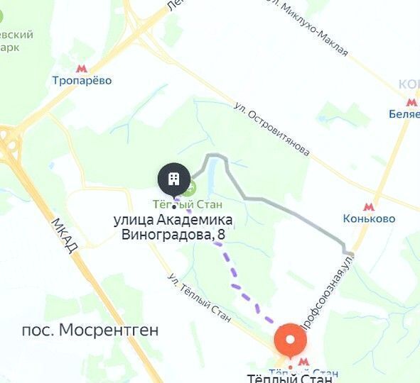 квартира г Москва метро Тропарёво ул Академика Виноградова 8 фото 10