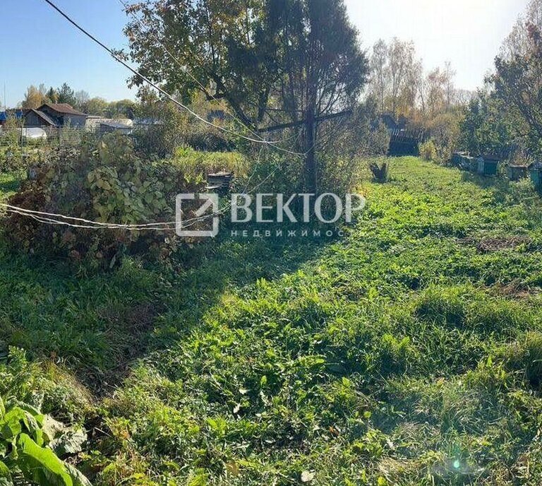 дом р-н Комсомольский с Писцово Писцовское сельское поселение фото 28