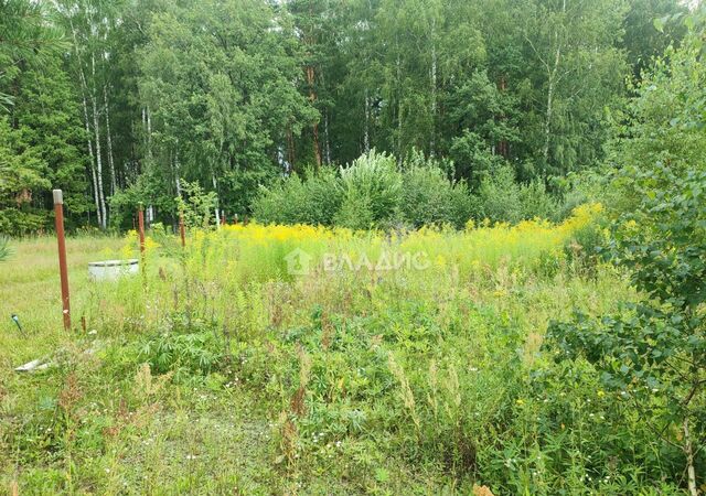 д Уварово ул Сосновка р-н Октябрьский фото