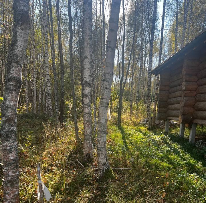 земля городской округ Шаховская д Щемелинки фото 4