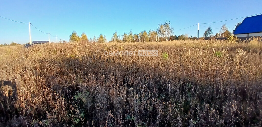 земля городской округ Павловский Посад посёлок ЛПХ Алёшкино фото 2