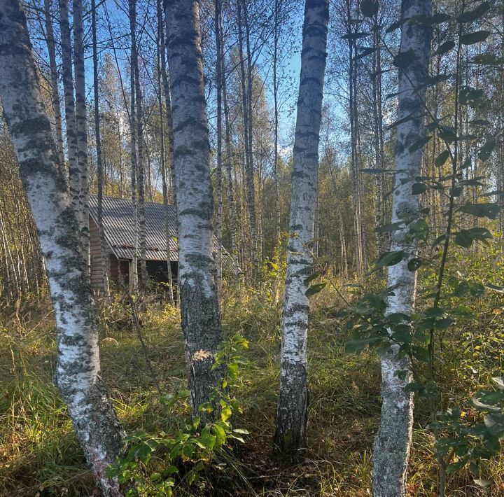 земля городской округ Шаховская д Щемелинки фото 5