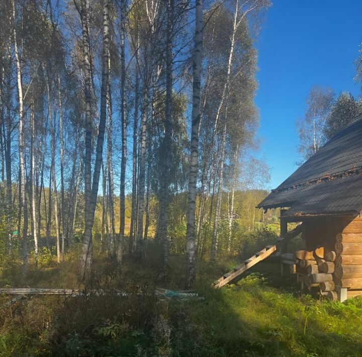 земля городской округ Шаховская д Щемелинки фото 9