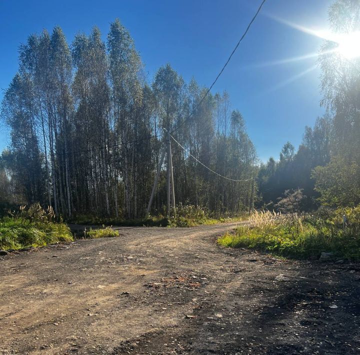 земля городской округ Шаховская д Щемелинки фото 14