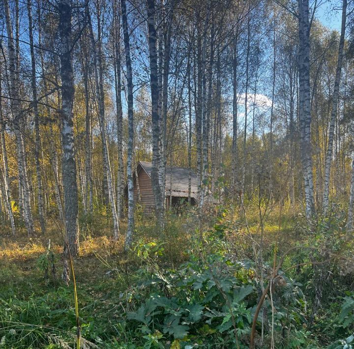 земля городской округ Шаховская д Щемелинки фото 16