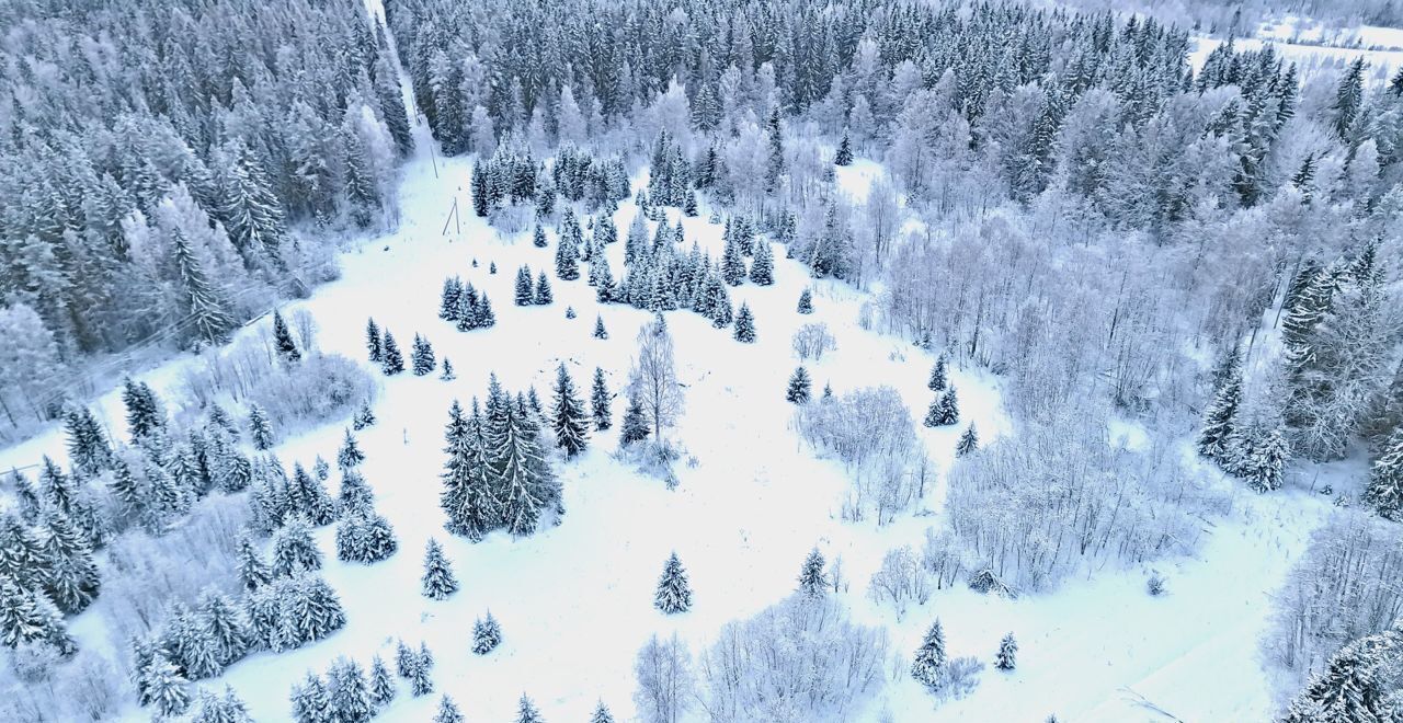 земля г Сортавала Сортавальский р-н, Кааламское сельское поселение фото 8