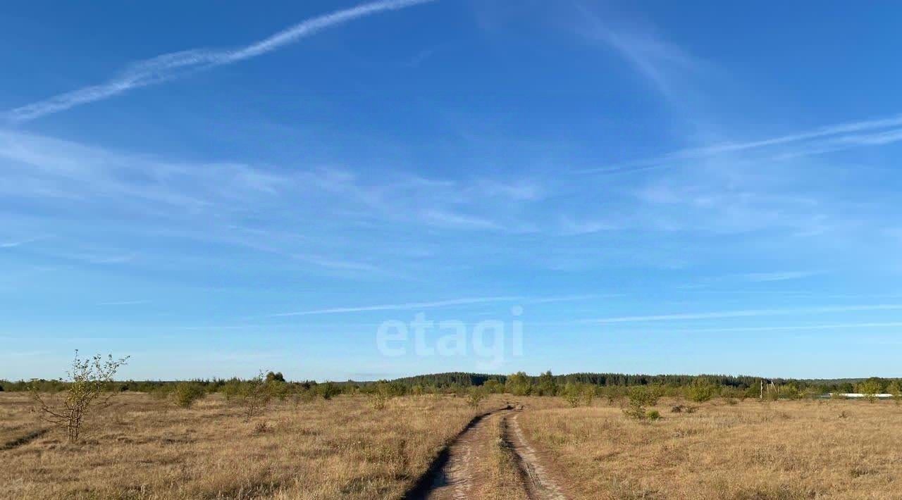 земля р-н Тамбовский п Тихий Угол фото 7