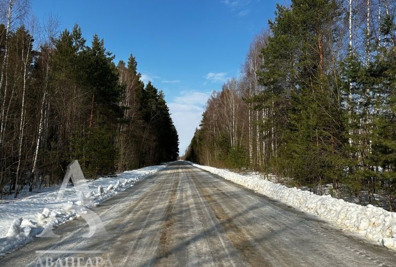 земля городской округ Клин 9799 км, Клин, Ленинградское шоссе фото 7