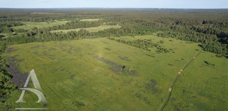 земля городской округ Клин 9799 км, Клин, Ленинградское шоссе фото 15