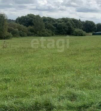 земля городской округ Талдомский г Талдом фото 3