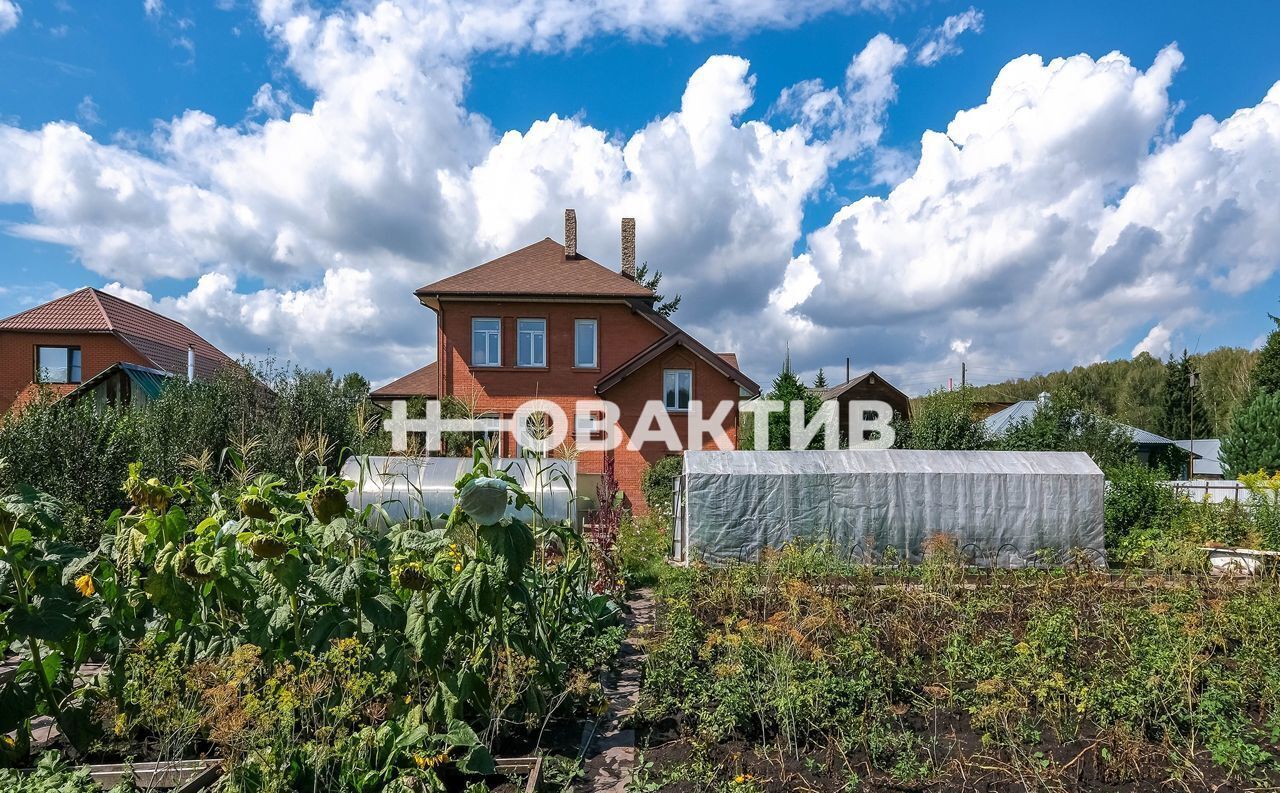 дом р-н Новосибирский с Новолуговое ул Рублевского 26 Новолуговской сельсовет фото 6