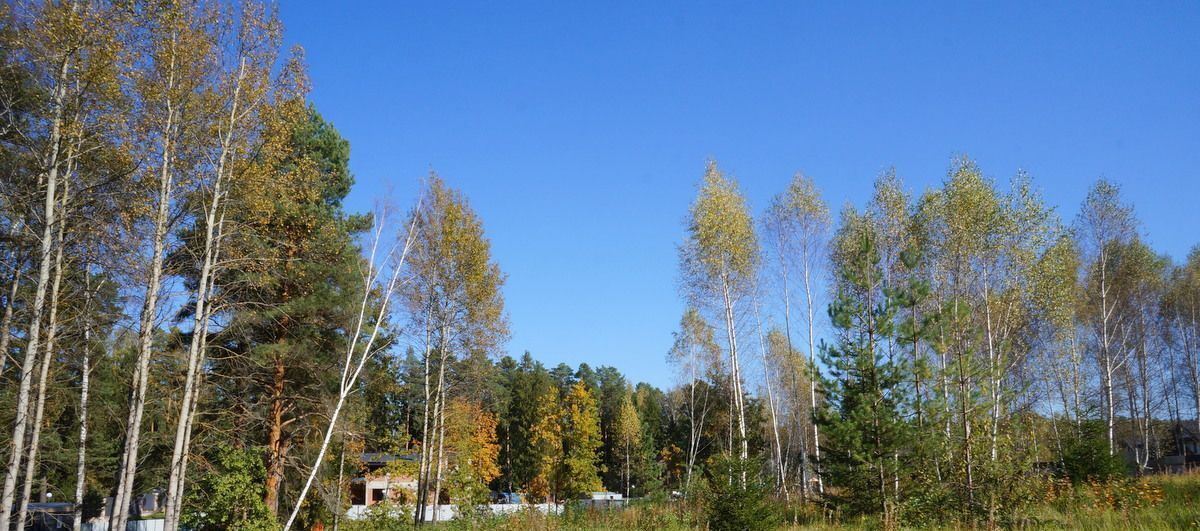 земля г Подольск п Сосновый Бор 134, Москва, Подольск фото 1