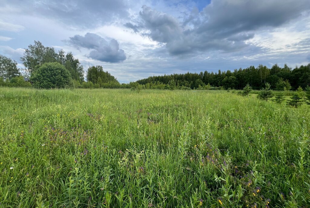 земля городской округ Можайский д Головино фото 28