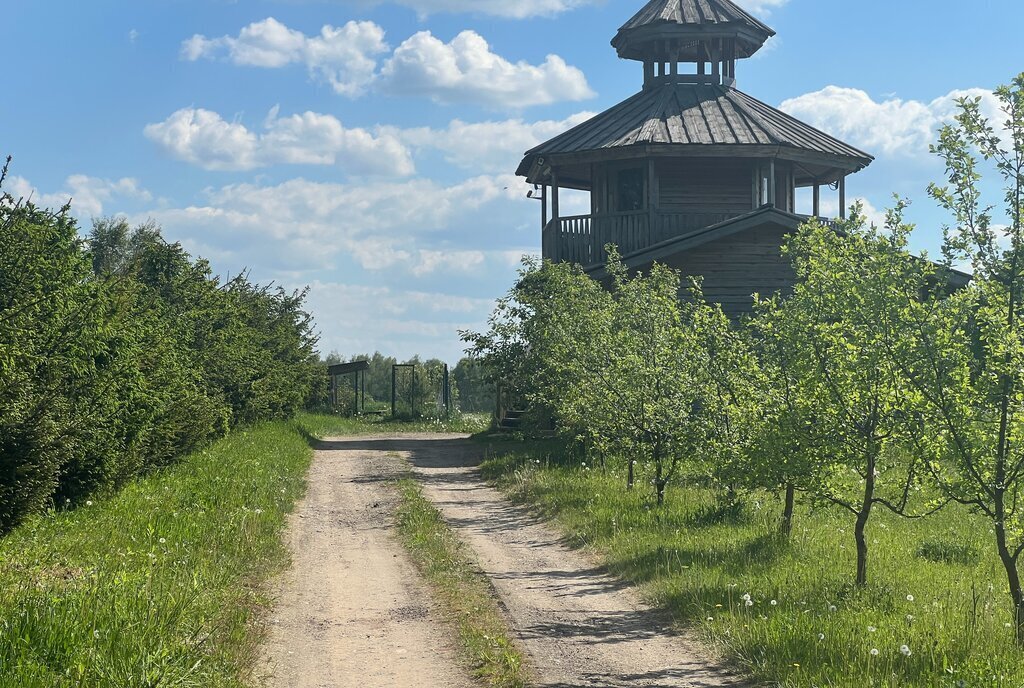 земля городской округ Можайский д Головино фото 14