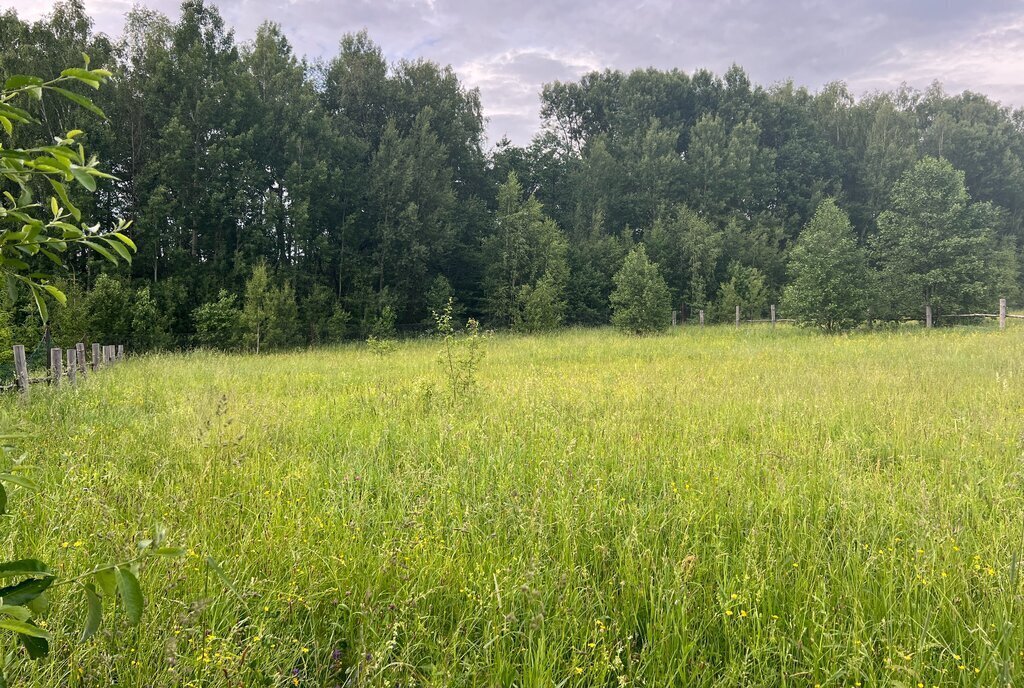 земля городской округ Можайский д Головино фото 20