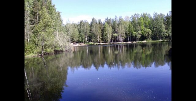 р-н Выборгский фото