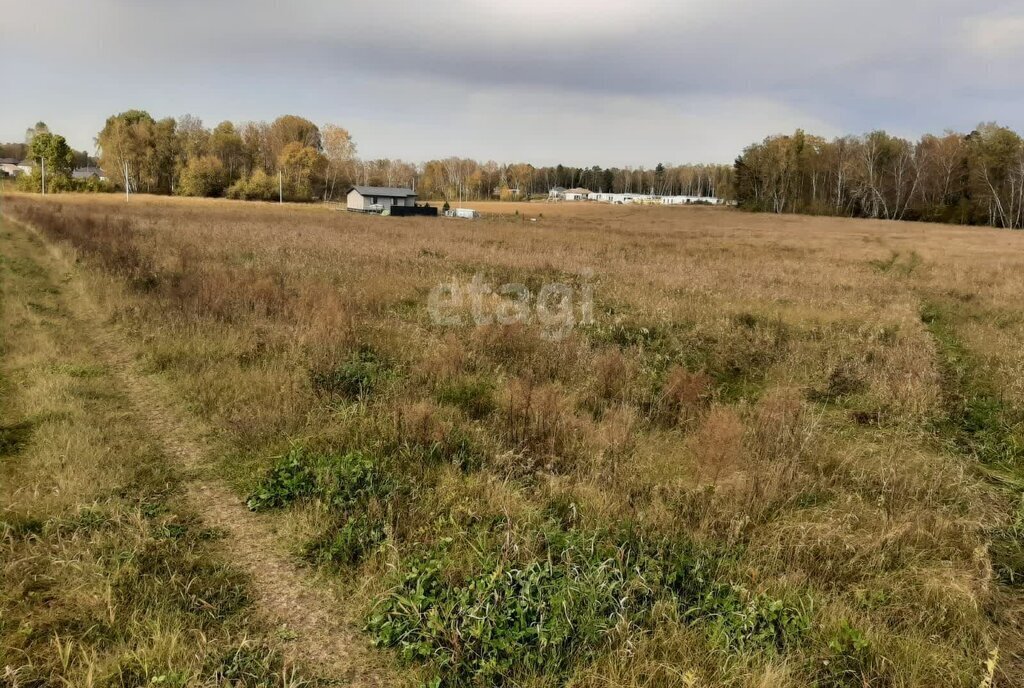 земля р-н Первомайский с Фирсово р-н мкр Полесье фото 3