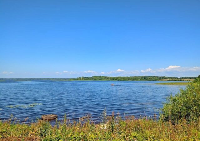 земля д Антоново Белозерск фото