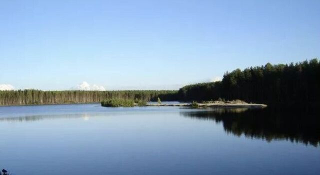 массив Дунай снт Русский дизель Морозовское городское поселение, потребительский кооператив садоводов, Нижняя часть кв-л фото