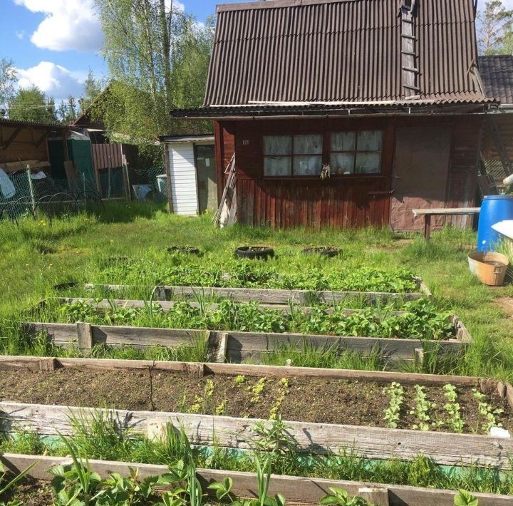 дом р-н Приозерский дп Массив озеро Комсомольское снт Климовец Плодовское с/пос, Парнас, 88 фото 3