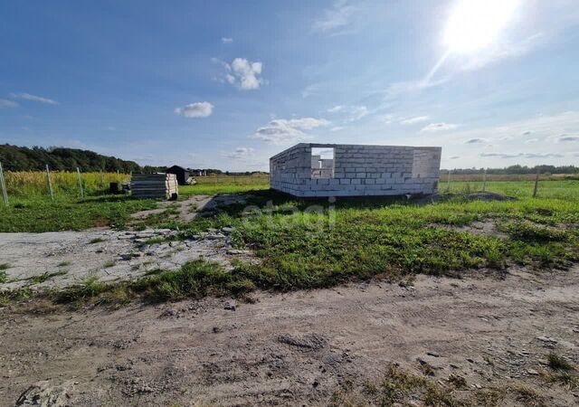 земля Калининград, Гвардейский муниципальный округ фото