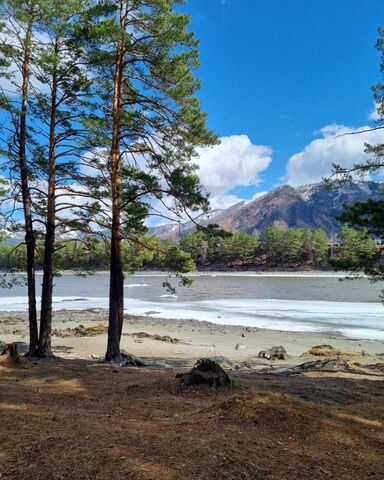 ул Центральная 72 Горно-Алтайск фото